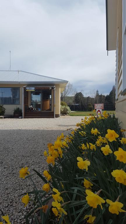 Waiau Motor Camp & Cabins Bagian luar foto